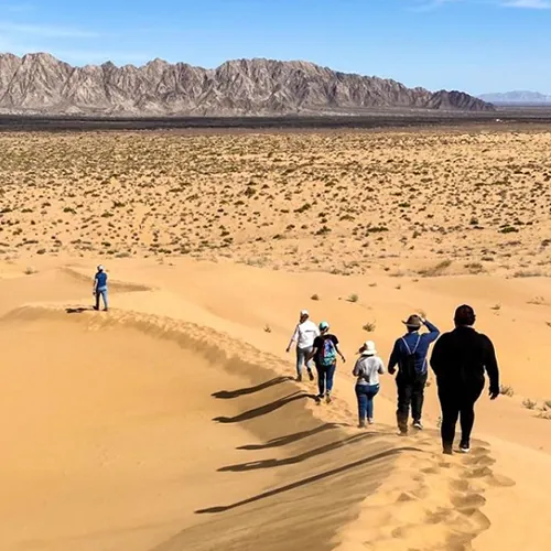 A group walking into the dunes of the Gran Desierto de Altar, Sonora
