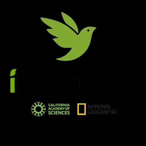 iNaturalist Mexico