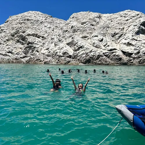 SeaLionXperience