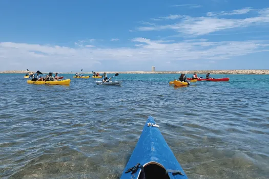 Kayaking the estuary