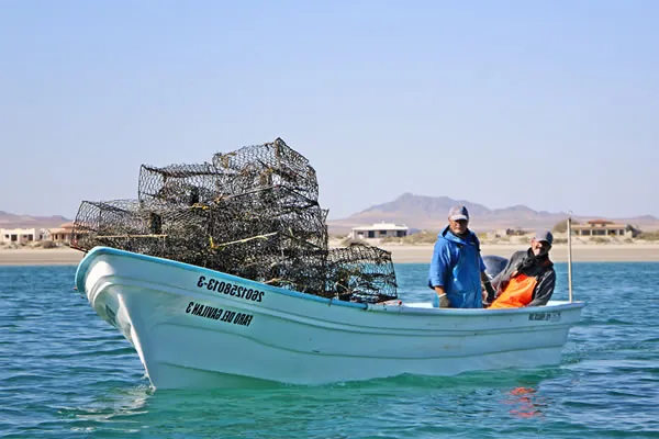 Sustainable Fisheries & Aquaculture