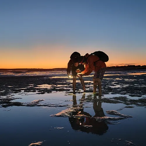Tide pools at Sandy Beach